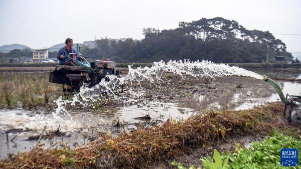 壮乡春耕忙 壮乡春耕忙