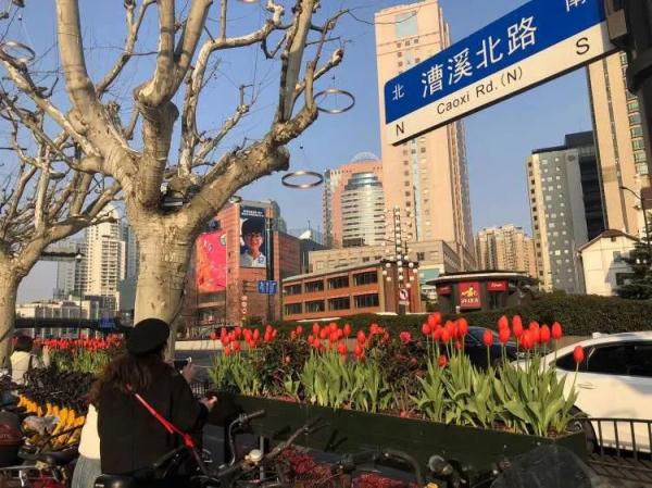 上海又排起长队，几百人等着和网红合影！看到现场的人都气笑了……