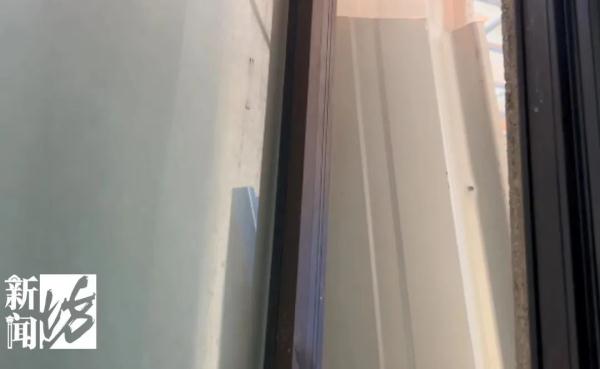 沪一业主遭女邻居报复,窗户被垃圾堵到"不见天日",为啥? 沪一业主遭女邻居报复,窗户被垃圾堵到"不见天日",为啥?