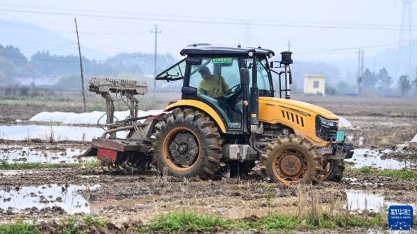 壮乡春耕忙 壮乡春耕忙