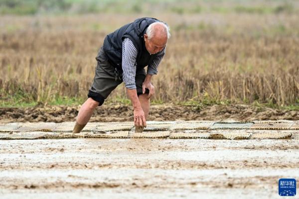 壮乡春耕忙 壮乡春耕忙