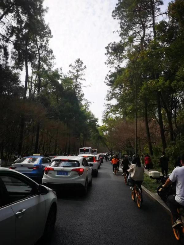 “半个杭州的人都来了吧!”今天的杭州,再次刷屏朋友圈! “半个杭州的人都来了吧!”今天的杭州,再次刷屏朋友圈!