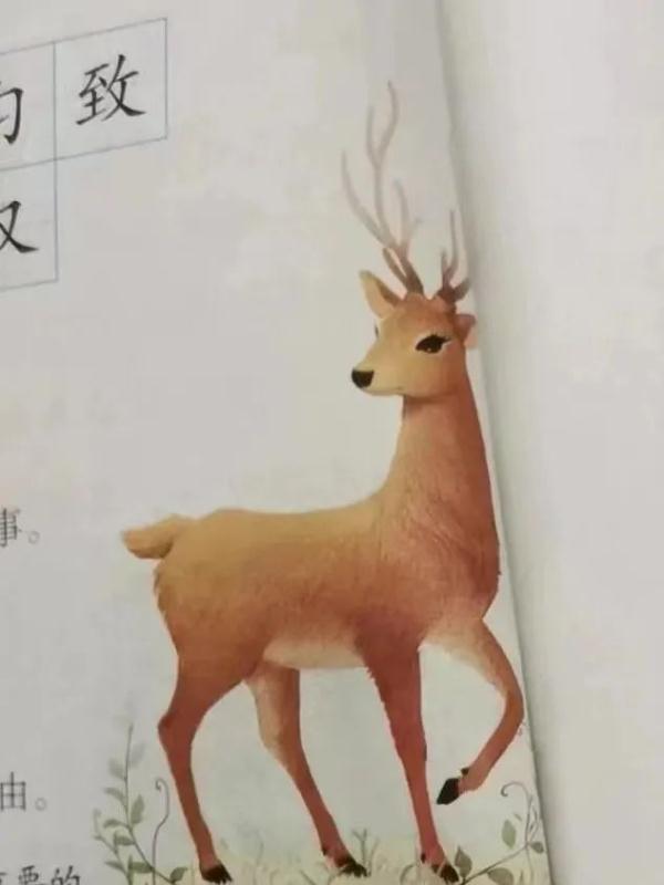 语文课本出错?台州小学生这个质疑,出版社回应了! 语文课本出错?台州小学生这个质疑,出版社回应了!