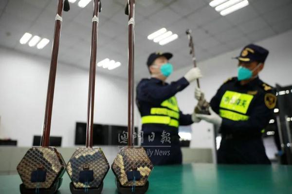 蟒蛇皮、毛发……海关最新截获