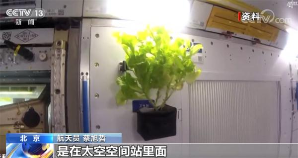 神舟十四号航天员乘组揭秘太空半年生活和“难忘瞬间”