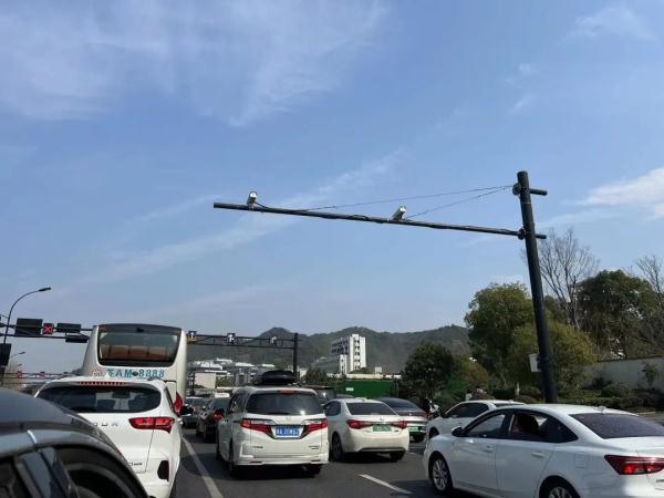 “半个杭州的人都来了吧!”今天的杭州,再次刷屏朋友圈! “半个杭州的人都来了吧!”今天的杭州,再次刷屏朋友圈!