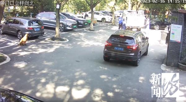 "我不相信银行"上海阿婆每天出门都带几十万现金…最担心的事发生了