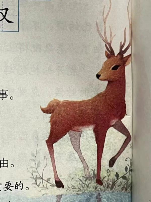 语文课本出错?台州小学生这个质疑,出版社回应了! 语文课本出错?台州小学生这个质疑,出版社回应了!