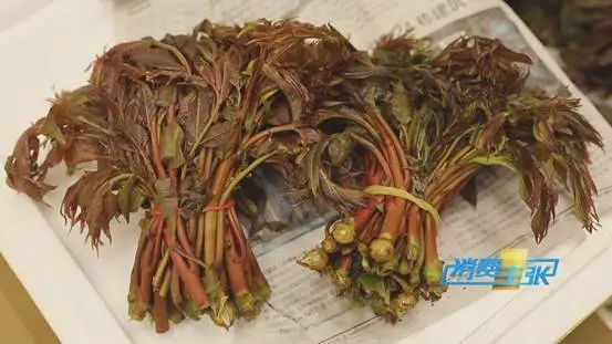 这种菜，卖到140元一斤！还“一菜难求”！什么这么“香”？