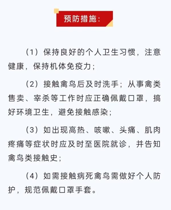 潜伏期6-17天，高烧不退！连续报告这种传染病，浙江疾控提醒→