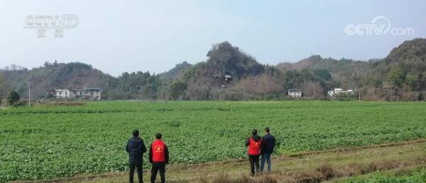 春耕田间管理智能化水平提高 全方位夯实粮食安全根基