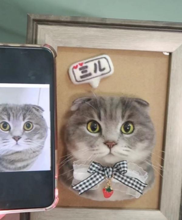 湖南女孩用巧手“复活”宠物,订单排到2024年! 湖南女孩用巧手“复活”宠物,订单排到2024年!