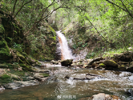 好漂亮！杭州发现全新物种苕溪鱲