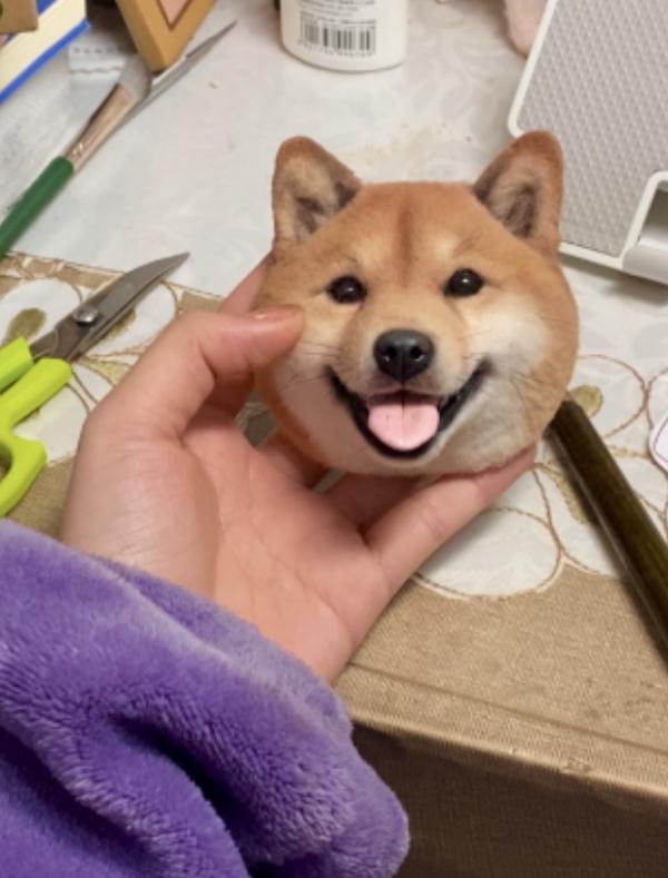 湖南女孩用巧手“复活”宠物,订单排到2024年! 湖南女孩用巧手“复活”宠物,订单排到2024年!