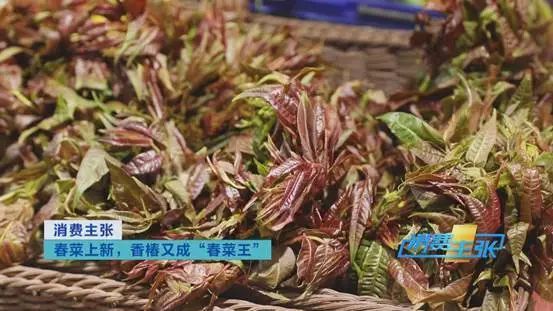这种菜，卖到140元一斤！还“一菜难求”！什么这么“香”？