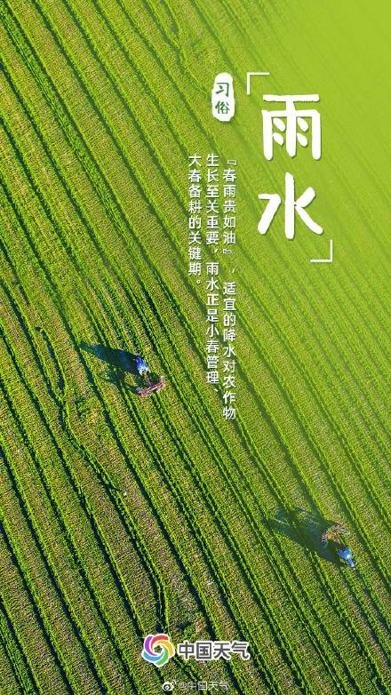 好雨知时节 当春乃发生