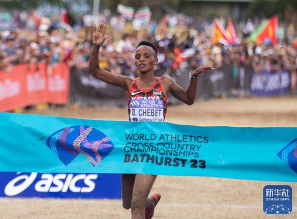田径 | 世界越野跑锦标赛赛况