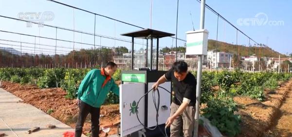 春耕田间管理智能化水平提高 全方位夯实粮食安全根基