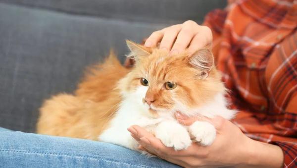 潜伏期6-17天，高烧不退！连续报告这种传染病，浙江疾控提醒→