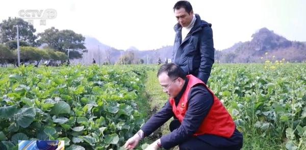 春耕田间管理智能化水平提高 全方位夯实粮食安全根基