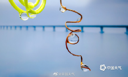 好雨知时节 当春乃发生