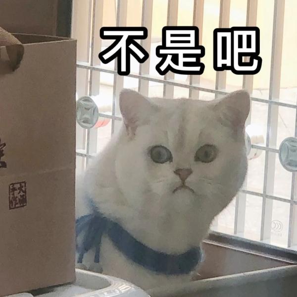 冷冷冷，最低-7℃！青岛气温持续走低，明天还将迎来……