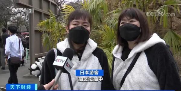 中签概率仅1/70！他们提前抽签，只为与“香香”告别……