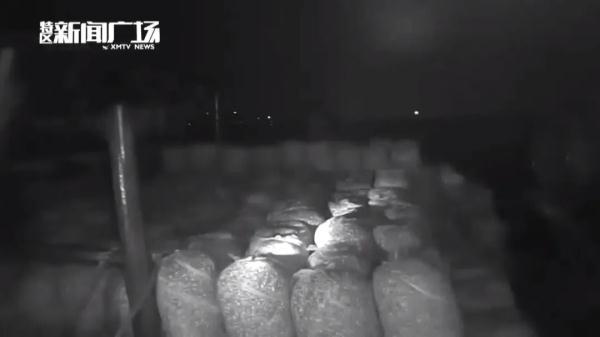 深夜突发！厦门：47人当场被抓！缴获7万公斤！