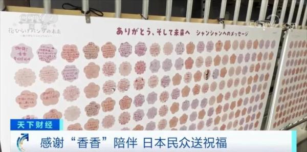 中签概率仅1/70！他们提前抽签，只为与“香香”告别……