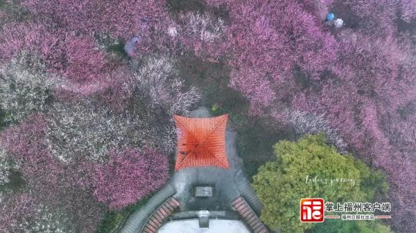 约满了！福州人都在抢着做这事！