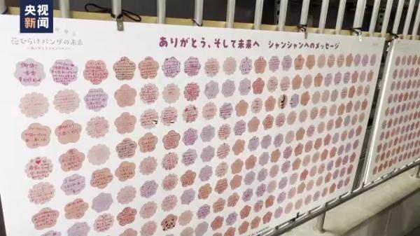 旅日大熊猫“香香”明日回国 日本民众抽签进场与其道别