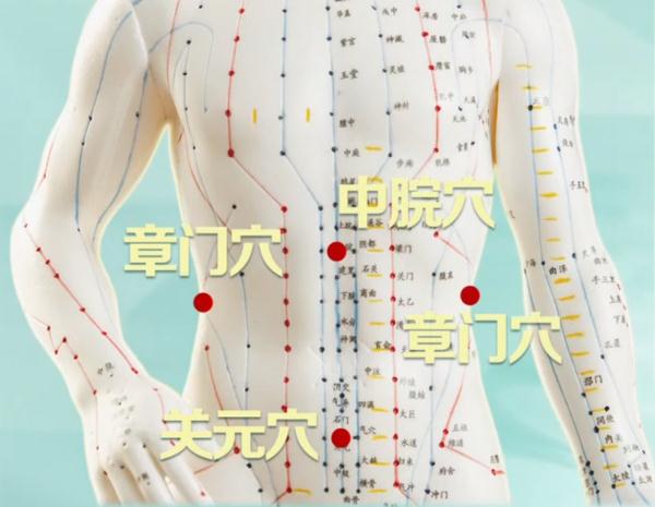 【运动】中华养生瑰宝五禽戏来啦!很多长寿的人都在这样练 【运动】中华养生瑰宝五禽戏来啦!很多长寿的人都在这样练