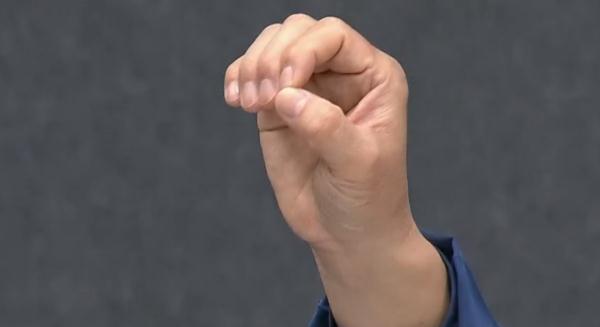 【运动】中华养生瑰宝五禽戏来啦!很多长寿的人都在这样练 【运动】中华养生瑰宝五禽戏来啦!很多长寿的人都在这样练