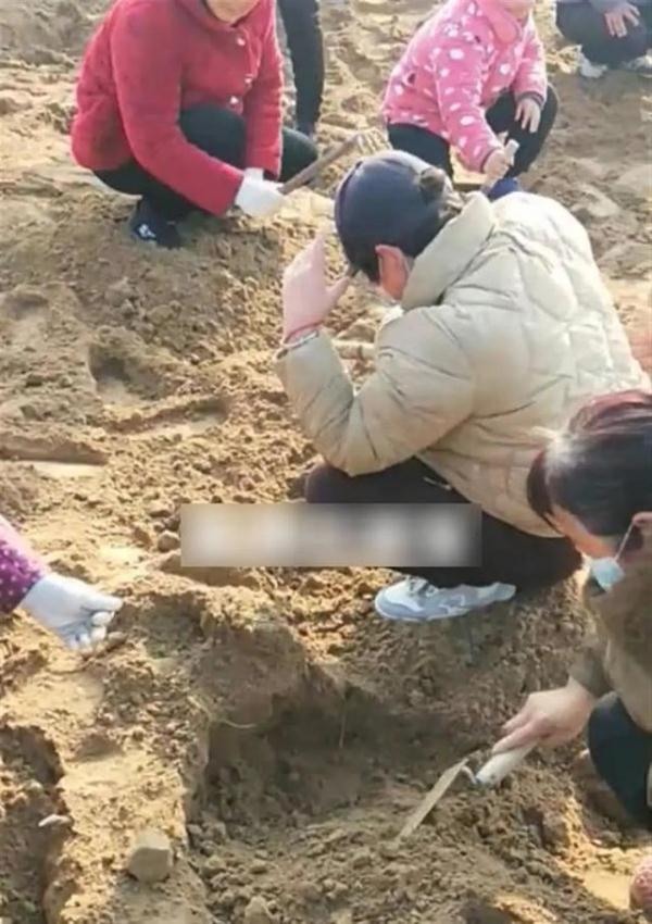 山东一村庄现“挖宝热” 山东一村庄现“挖宝热”