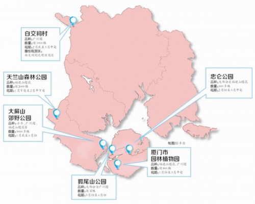 草长樱飞二月天 鹭岛赏花正当时