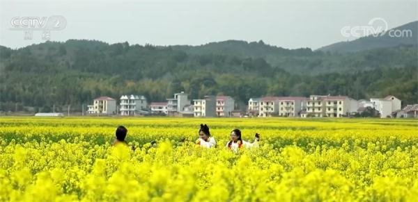 寄托美好寓意 舞龙、踏青带动江西吉安当地赏花经济 寄托美好寓意 舞龙、踏青带动江西吉安当地赏花经济