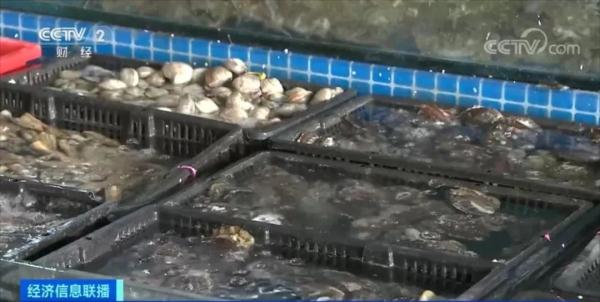 大降价!这些海鲜,价格几乎“对半砍” 大降价!这些海鲜,价格几乎“对半砍”