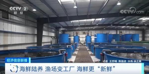 大降价!这些海鲜,价格几乎“对半砍” 大降价!这些海鲜,价格几乎“对半砍”