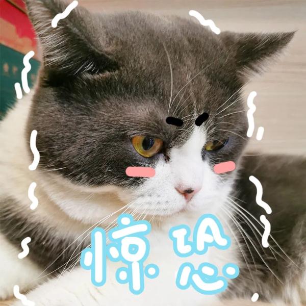 最低-1.2℃！10级大风！今天你在福州被冻到了吗？