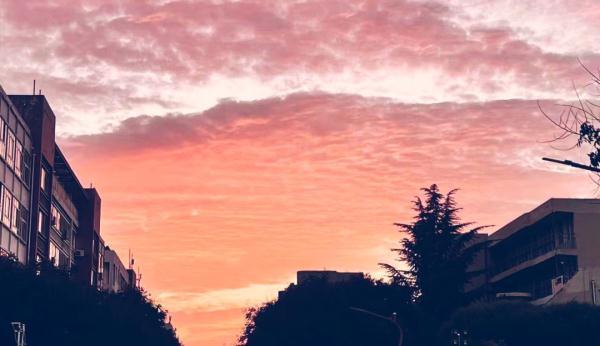 “查完考研初试成绩,我想......” “查完考研初试成绩,我想......”