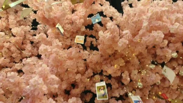 “查完考研初试成绩,我想......” “查完考研初试成绩,我想......”