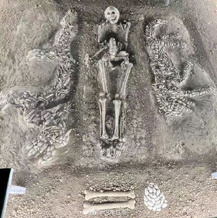 “中华第一龙”长什么样 “中华第一龙”长什么样