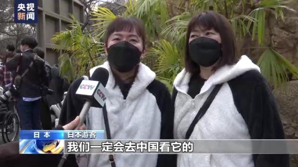旅日大熊猫“香香”回国，落地成都双流机场