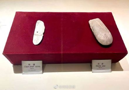 “中华第一龙”长什么样 “中华第一龙”长什么样