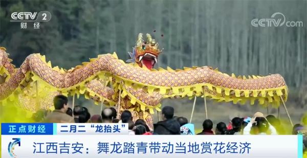 寄托美好寓意 舞龙、踏青带动江西吉安当地赏花经济 寄托美好寓意 舞龙、踏青带动江西吉安当地赏花经济