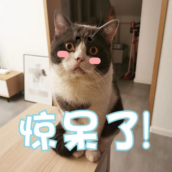 最低-1.2℃！10级大风！今天你在福州被冻到了吗？