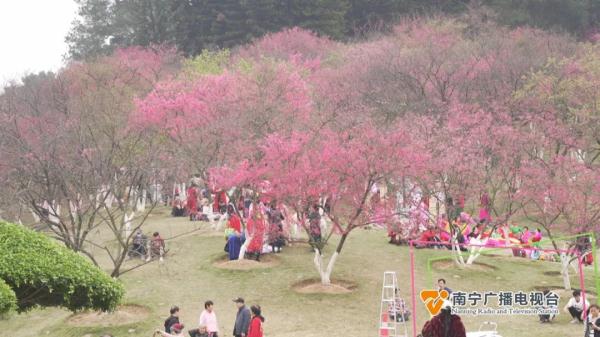 冷空气即将抵达,南宁最低气温降至个位数! 冷空气即将抵达,南宁最低气温降至个位数!