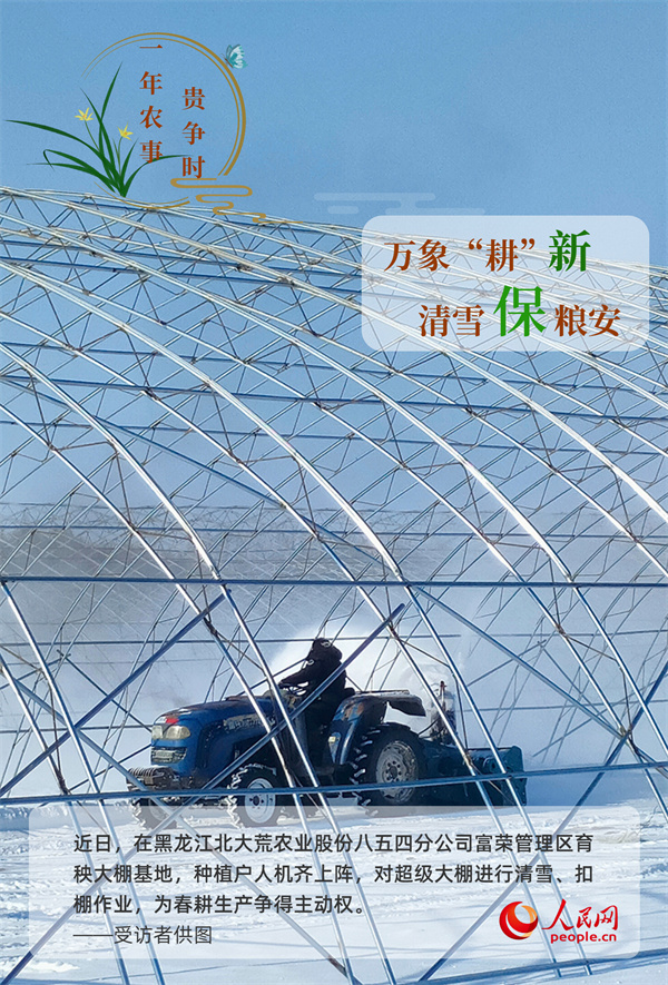 奋进的春天｜万象“耕”新 一年农事贵争时