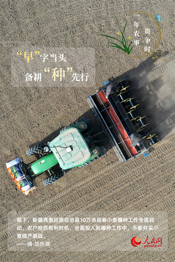 奋进的春天｜万象“耕”新 一年农事贵争时