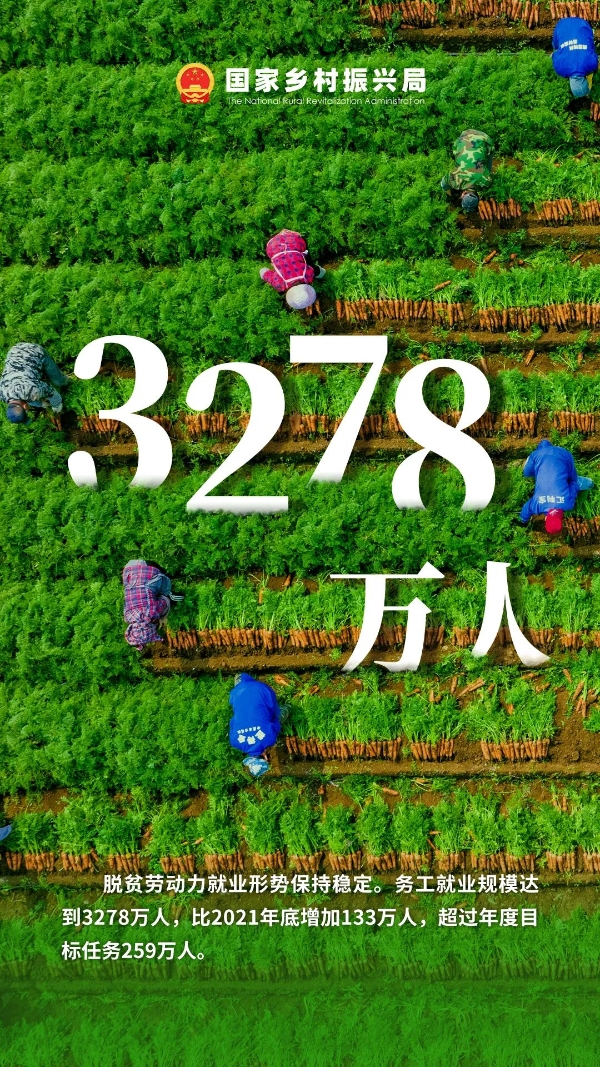 数说巩固拓展脱贫攻坚成果同乡村振兴有效衔接第二年